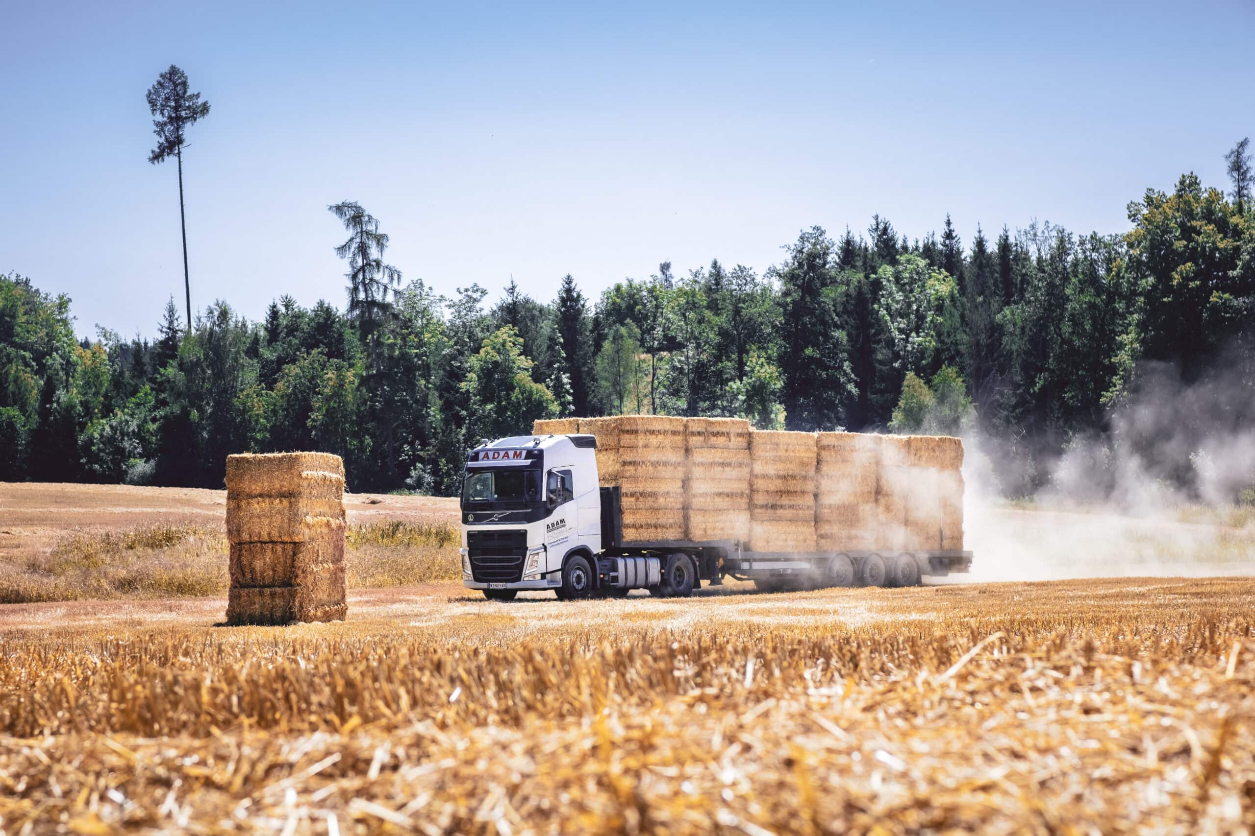Foto von LKW auf Feld