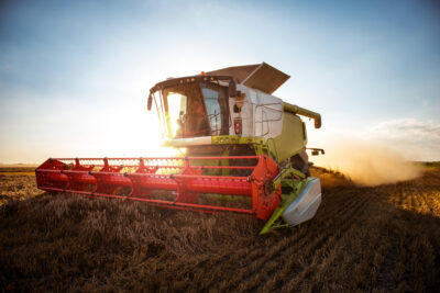 Combine harvesting wheat