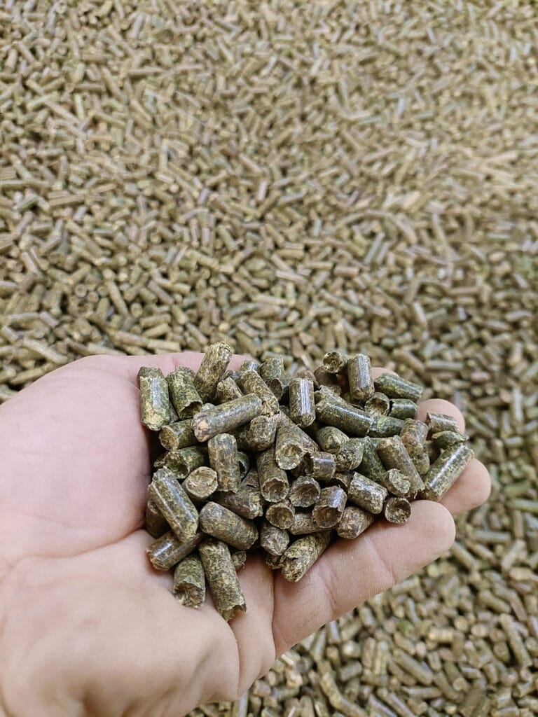Foto-Luzernepellets